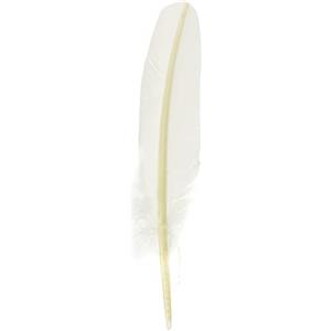 Herbin Jacques Herbin 23301ST - Piuma d'oca H 21cm bianca