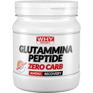 WHY SPORT GLUTAMMINA PEPTIDE ZERO CARB - Amminoacidi - Integratore Alimentare a Base di L-Glutammina Peptide - 330 gr