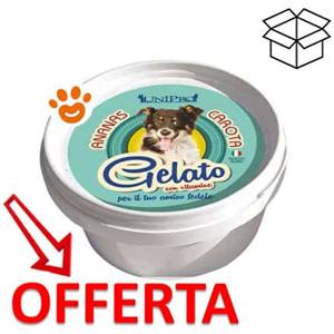 Unipro Gelato Ananas e Carota - Alimento Complementare per Cani - 60 gr - Fresco e Nutriente
