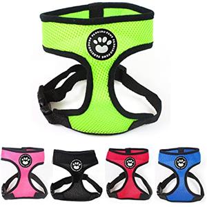 Padding Paws Pets lover - Pettorina regolabile con guinzaglio, in morbido tessuto a rete, per cane, cuccioli, animali domestici, con moschettone