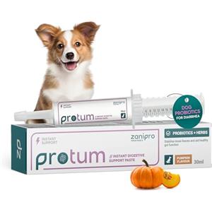 Zanipro Pasta con Probiotici e Prebiotici per Cani - Mangime Complementare con Fermenti Lattici Vivi, Formula in Pasta Facile da Somministrare, 30 ml Zucca