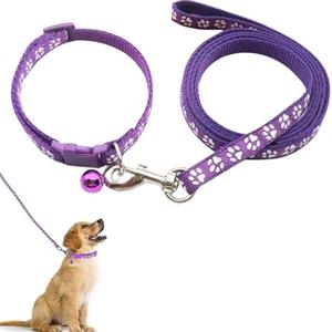 QEEROYO Collare E Guinzaglio per Cani Piccoli, Taglia Piccola, Viola