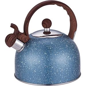 Webao Bollitore a Fischio in Acciaio Inossidabile per Piani Cottura Bollitore per Tè con Impugnatura Ergonomica, 2,5l, Blu Stellato