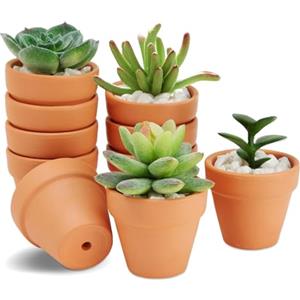 HDKAJL 10 Pezzi Vasi Per Piante, Vasetti Per Piantine, Mini Vaso Terracotta Con Foro Di Scarico, Vasi In Terracotta Fioriera In Ceramica Per Piante Succulente Di Cactus Per Interni/Esterni