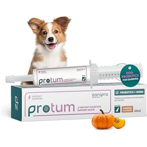 Zanipro Pasta Probiotica e Prebiotica per Cani e Gatti contro la Diarrea e dopo il Vermifugo, 3 Miliardi di Fermenti Vivi, Cura Intestinale - Rassodamento delle Feci (60ml) Zucca