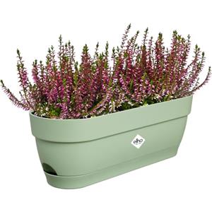 Elho Vibia Campana Trough 50 - Fioriera per Balcone - Ø 49.0 x H 17.0 cm - Verde/Pistache Green