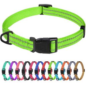 TagME Collare per Cani in Nylon Riflettente, Fibbia Staccabile Durevole, Collari Di Sicurezza Regolabili per Cani Di Taglia Piccola, Verde, Larghezza 1.5 cm