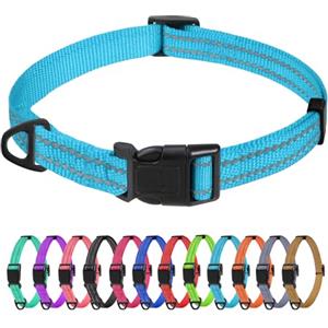 TagME Collare per Cani in Nylon Riflettente, Fibbia Staccabile Durevole, Collari Di Sicurezza Regolabili per Cani Di Taglia Piccola, Blu, Larghezza 1.5 cm