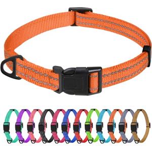 TagME Collare per Cani in Nylon Riflettente, Fibbia Staccabile Durevole, Collari Di Sicurezza Regolabili per Cani Di Taglia Piccola, Arancia, Larghezza 1.5 cm