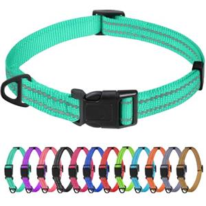TagME Collare per Cani in Nylon Riflettente, Fibbia Staccabile Durevole, Collari Di Sicurezza Regolabili per Cani Di Taglia Piccola, Teal, Larghezza 1.5 cm