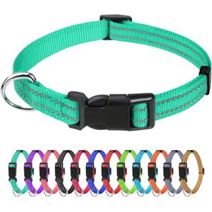 TagME Collare per Cani in Nylon Riflettente, Fibbia Staccabile Durevole, Collari Di Sicurezza Regolabili per Cuccioli, Teal, Larghezza 1.0 cm