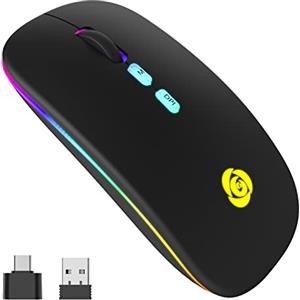CC Store Mouse Bluetooth, Mouse Mute Wireless con Ricevitore USB Type-C Ricevitore USB a 7 colori a 2,4 GHz,Mouse Wireless Sottile 3 DPI 800/1200/1600 Compatibile con PC/Laptop/Windows (Black)