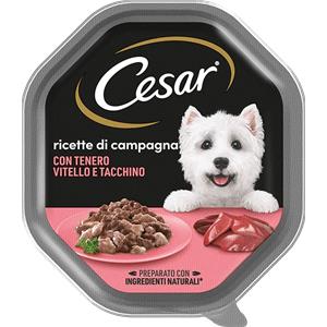 Cesar Ricette di Campagna - Cibo Umido per Cani con Vitello e Tacchino in Salsa - 150 gr