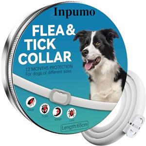 Inpumo Collare Antiparassitario per Cani, Collare Antipulci Cane, Olio Essenziale Naturale 10 Mesi di Protezione Impermeabile Regolabile per Cani di Taglia Piccola Media e Grande 65CM (1 pack)