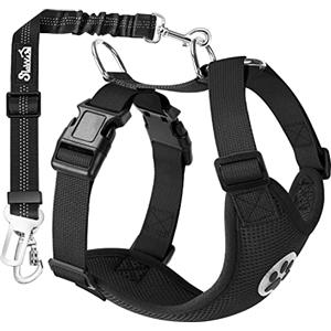 SlowTon Set di Cinture di Sicurezza per Cani, Imbracatura per Animali Domestici con Cintura di Sicurezza per Viaggio e Uso Quotidiano Cinghia Elastica Regolabile e Gilet