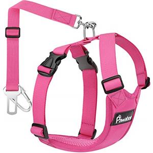 Pawaboo Pettorina di Sicurezza per Cani, Imbracatura Regolabile per Auto Cintura di Sicurezza con Moschettone per Animali Domestici Quinzaglio Regolabile per Auto, Taglia XL, Magenta