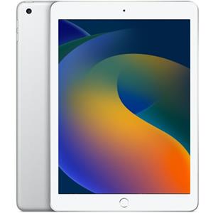 Apple iPad Mini 7.9 pollici (2019) 5a Generazione, Argento - 64GB - Wi-Fi - Ottimo