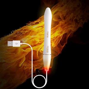 NUHUi Auto Heater Stick Indicatore LED Riscaldatore 38℃ Controllo 4-5 minuti Portatile Trasporto Cavo 1,1 m