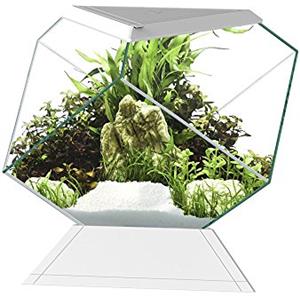 Askoll 280669 Nexus 5C Betta Life White