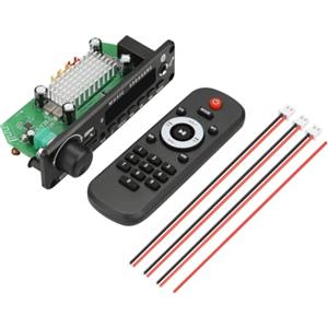 Vocdikficy 2x100W 12V Amplificatore Lettore Audio Bluetooth 5.0 Scheda di Decodifica MP3 Lettore MP3 Auto Modulo Radio FM TF USB Microfono Registra Chiamata