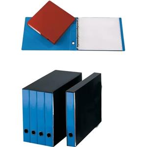 CART. GARDA Gruppo 4 Portatabulati Azzurri 31,5x29 cm con Meccanismo a 4 Anelli e Dorso da 5 cm