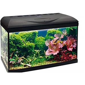 Amtra Basic 60 LED - Acquario completo di 65 litri, illuminazione LED 8500 8W, incluso filtro Filtering Box 150, 60x30x42 cm, nero
