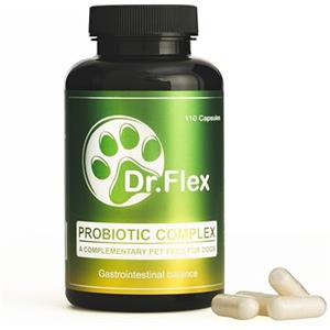 Dr. Flex Probiotici Complesso per Cani | 110 Capsule ad Alto Dosaggio | Con Lactobacillus Acidophilus, Lipasi, Cellulasi e Proteasi | Fermenti Lattici per Digestione e Flora Intestinale