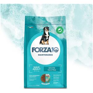 Forza 10 Maxi Adult Maintenance al Pesce - Alimento Secco Completo per Cani Adulti di Taglia Grande, 12kg