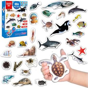 Magdum Magneti per bambini piccoli 30 magneti Animali del mare, dell'oceano | Grandi animali magnetici realistici per frigorifero e lavagna bianca - Giocattoli educativi Montessori - Regalo per bambini