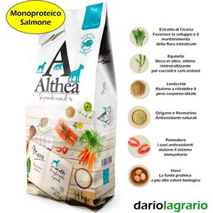Althea Mare 14kg - Alimento Secco Super Premium Monoproteico al Salmone per Cani Adulti di Taglia Medio/Grande