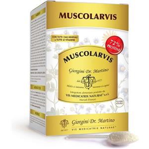 DR.GIORGINI SER-VIS Srl muscolarvis polvere 500 g