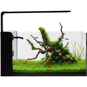 Aqpet Acquario Completo Aqua Rear in Vetro Extrachiaro con Sistema filtrante integrato e Luce Led inclusa 60x30x30 cm