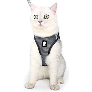 LIANZIMAU Set di Pettorina e guinzaglio per Gatti, a Prova di Fuga, Riflettente, Regolabile, in Morbida Rete, Imbottita, per Cuccioli, Gattini, Passeggiate all'aperto nuovo Grigio