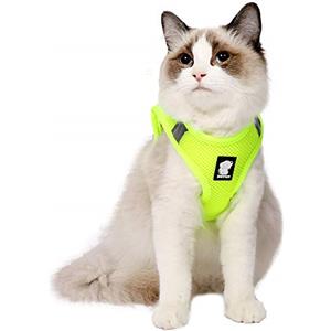 LIANZIMAU Set di Pettorina e guinzaglio per Gatti, a Prova di Fuga, Riflettente, Regolabile, in Morbida Rete, Imbottita, per Cuccioli, Gattini, Passeggiate all'aperto nuovo Grigio