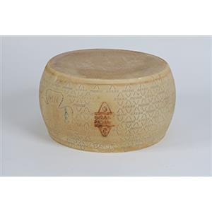 YesEatIs Grana Padano DOP - Forma Intera - STAGIONATO 14 MESI (40 kg. circa)
