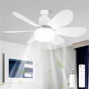 RuiDay Ventilatori da Soffitto con Luce e Telecomando, E27 lampadario con pale LED Dimmerabile, lampadario ventola con Telecomando e Timer, 3 Velocità, 3 Colori, Silenzioso (Bianco)