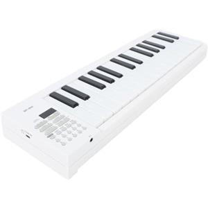 Zunate Tastiera per Pianoforte Pieghevole a 61 Tasti, Tastiera Elettrica Ponderata, Tastiera Musicale Digitale per Pianoforte da Viaggio Portatile per Principianti, con Riproduzione