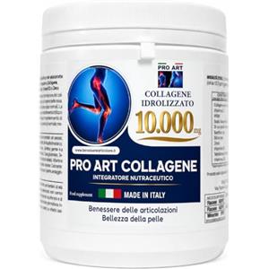 PRO ART Collagene Marino Idrolizzato 10.000 mg in Polvere con Acido Ialuronico, Vitamina C, MSM e Zinco - 366 g - Made in Italy