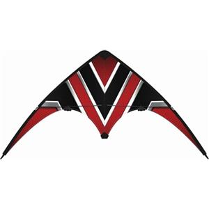 GÜNTHER FLUGSPIELE 1090 - Aquilone sportivo Carbon Design Loop 100, aquilone per principianti, vela in poliestere ripstop antistrappo, dimensioni circa 100 x 56 cm