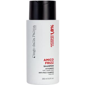 Diego Dalla Palma Amico Frizz Shampoo Anticrespo 250ml - Effetto Antistatico e Protezione dall'Umidità