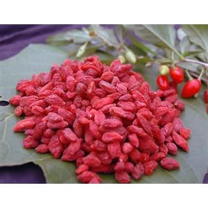 Naturix24 Bacche di Goji 100 g