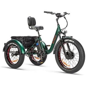 Tecnobike Shop Bici Bicicletta Elettrica Pedalata Assistita Triciclo Bicicletta Elettrica Z-TECH ZT-80-A FAT TRIKE 3 Ruote 24/20 250W 13 Ah 48V Batteria Litio e-Bike con Pedali e-Bicycle (Verde)