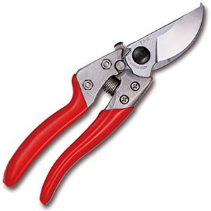 ARS Forbici Professionali per POTATURA VS-8XZ