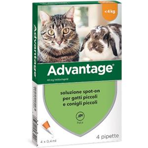ELANCO BAYER VET ADVANTAGE FARMACO ANTIPARASSITARIO PER GATTI PICCOLI E CONIGLI 4 PIPETTE
