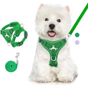 VavoPaw Pettorina per Cani con Guinzaglio da 1,5M, Imbracatura per Gatti Antifuga con Rete Traspirante e Strisce Riflettenti, Gilet Morbido e Regolabile per Cani Gatti, L, Verde Medio