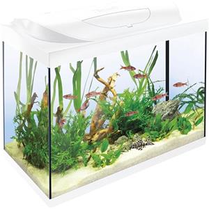 Tetra Acquario Starter Line 80 L, bianco, set completo - include illuminazione a LED diurna e notturna, filtro interno, riscaldatore, cibo per pesci e condizionatore