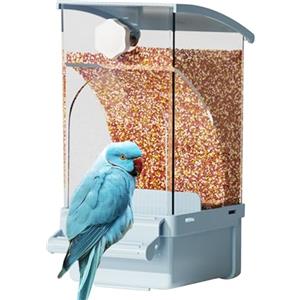 Generico Mangiatoia Automatica Per Uccelli Per Gabbia - Distributore Automatico Di Cibo Uccelli - Accessori Gabbia Voliera con Distributore Snack per Pappagalli Conure Cocorite Canarini