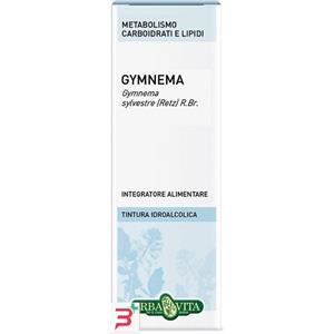 ERBA VITA GROUP SPA GYMNEMA SYLVESTRE SOLUZIONE IDROALCOLICA 50 ML