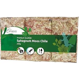 sphagnum-shop.com Muschio di sfagno per terrari e Orchidee dal Cile - Substrato Ideale e Bastoncini di Muschio (150 gr - 4000 gr) (1x 200 gr)