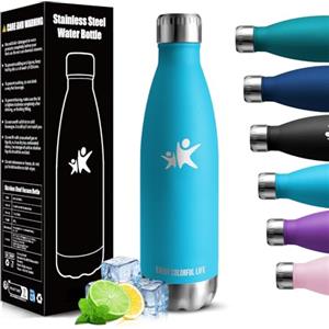 HoneyHolly Borraccia Termica, 500ml Borraccia Acciaio Inox, Borraccia Palestra senza Perdite & BPA, Borracce Termiche, Bottiglia Termica per Scuola, Ciclismo, Lavoro - Bevande Calde per 12 Ore & Fredde 24 Ore